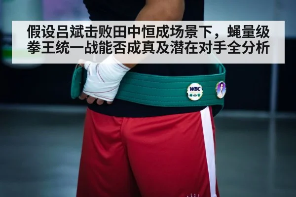 假设吕斌击败田中恒成场景下，蝇量级拳王统一战能否成真及潜在对手全分析