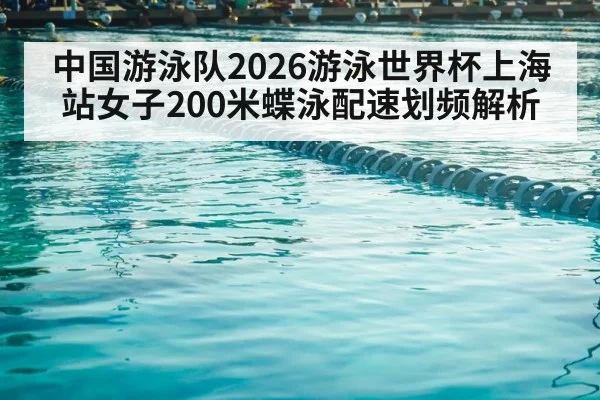 中国游泳队2026游泳世界杯上海站女子200米蝶泳配速划频解析
