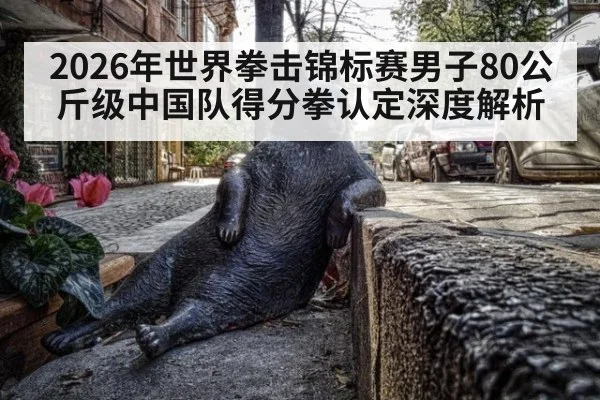 2026年世界拳击锦标赛男子80公斤级中国队得分拳认定深度解析