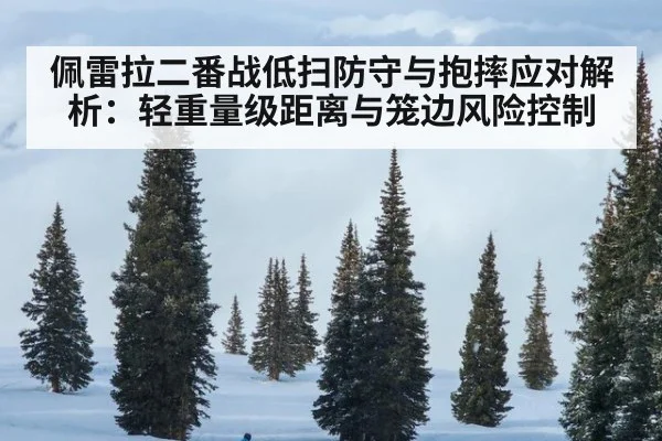 佩雷拉二番战低扫防守与抱摔应对解析：轻重量级距离与笼边风险控制